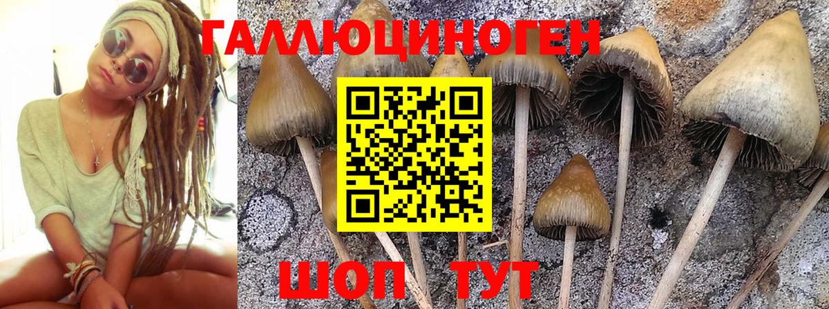 Псилоцибиновые грибы мицелий  Вход с VPN  Киров 